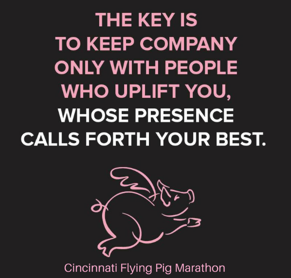 Flying Pig Quote